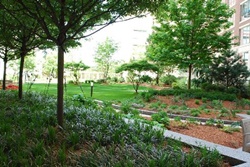 Beautiful One Bedroom on Charles River, Boston pet friendly vacation rentals, dog friendly Boston Mass rentals