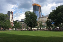 Boston Common Dog Park, Boston dog parks, dog parks in Boston