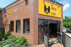 Boston Veterinary Clinic, Boston veterinarian, vets in Boston