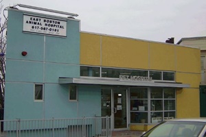 East Boston Animal Hospital, Boston veterinarian, vets in Boston