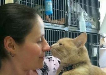 East Boston Animal Hospital, Boston veterinarian, vets in Boston