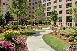 Eclectic Luxury Condo Boston pet friendly vacation rentals, dog friendly Boston Mass rentals