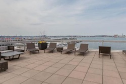 Executive Suites,  Boston pet friendly vacation rentals, dog friendly Boston Mass rentals