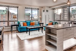 Luxury 2 Bedroom Apartment,  Boston pet friendly vacation rentals, dog friendly Boston Mass rentals