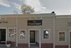 The Pooped Pooch, pet boarding pet grooming in Boston, dog daycare in Boston Mass