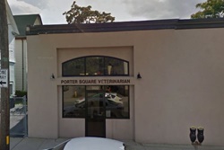 Porter Square Veterinarian, Boston veterinarian, vets in Boston