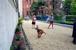 Richmond Street Dog Park, Boston dog parks, dog parks in Boston