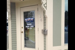 The Dog Port, pet boarding pet grooming in Boston, dog daycare in Boston Mass