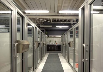 The Urban Hound, pet boarding pet grooming in Boston, dog daycare in Boston Mass