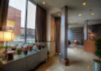 The Urban Hound, pet boarding pet grooming in Boston, dog daycare in Boston Mass