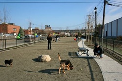 Zero New Washington Dog Park, Boston dog parks, dog parks in Boston