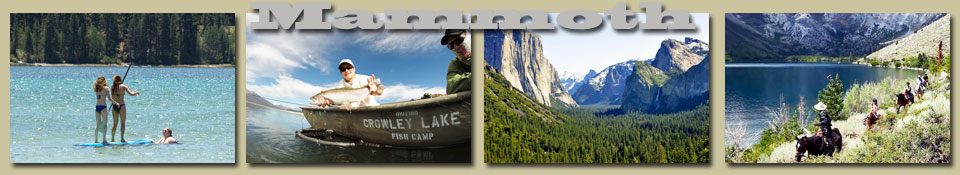 fun in mammoth pet friendly