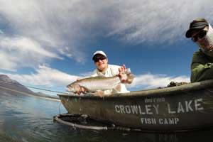 ryan rotors in cape cod