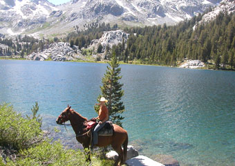 crowley lake fish camp