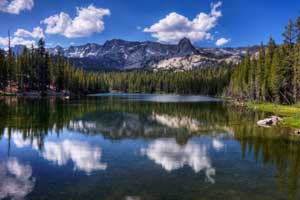 mammoth lakes pet friendly