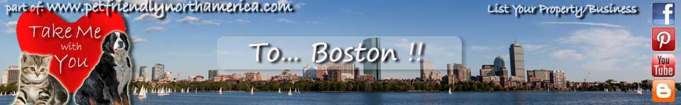 pet friendly boston